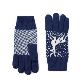 ArtOfPolo Pánské rukavice sanok Modré
